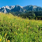 Apartment Bergkristallhaus Ramsau am Dachstein