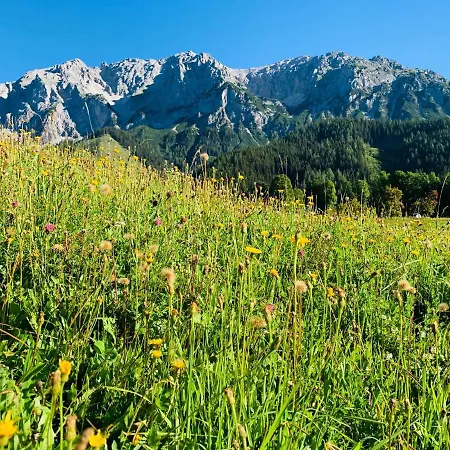 Appartement Bergkristallhaus Ramsau am Dachstein