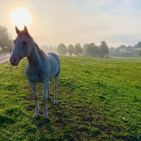 Bergkristallhaus Appartamento Ramsau am Dachstein