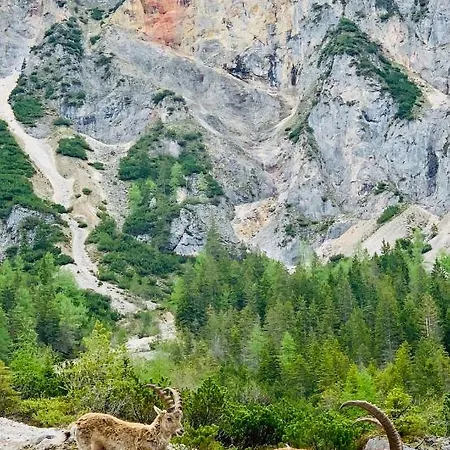 Appartamento Bergkristallhaus *