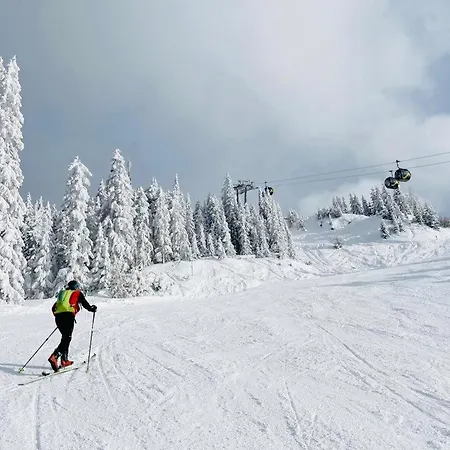 Bergkristallhaus * Ramsau am Dachstein