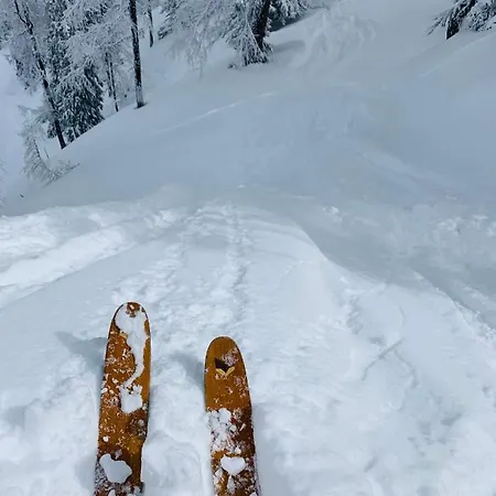 Bergkristallhaus Ramsau am Dachstein