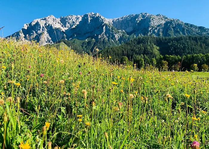 Apartament Bergkristallhaus Ramsau am Dachstein