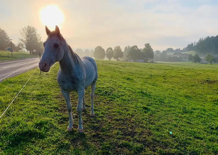 Bergkristallhaus Apartament Ramsau am Dachstein