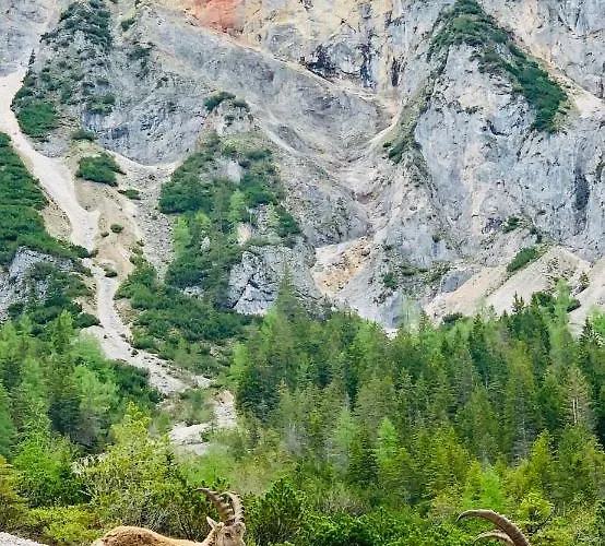 Apartament Bergkristallhaus *