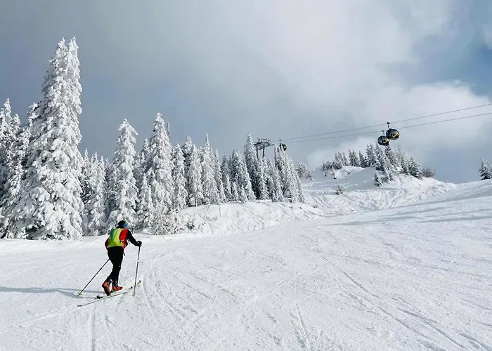 Bergkristallhaus * Ramsau am Dachstein