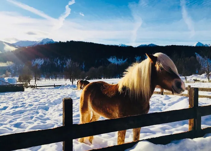 Bergkristallhaus Apartament Ramsau am Dachstein